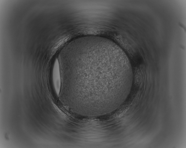X0000096730683200802121315