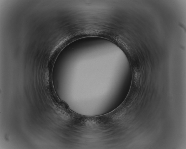 X0000096730684200802121315