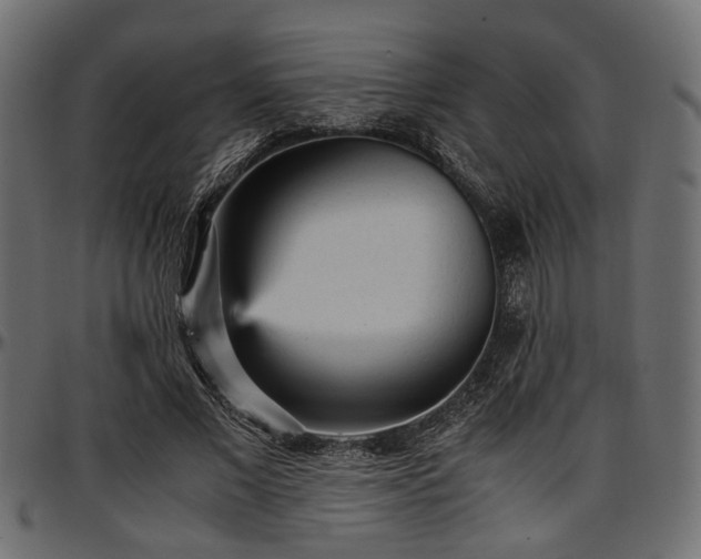 X0000096730685200802121315