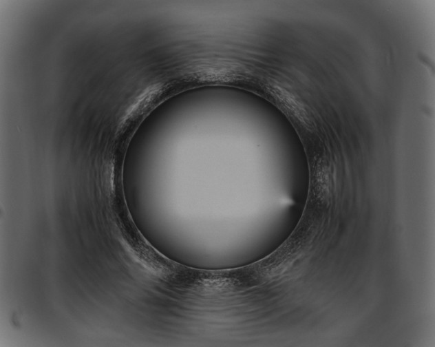 X0000096730686200802121315