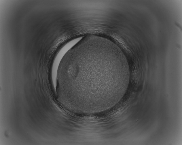 X0000096730687200802121315