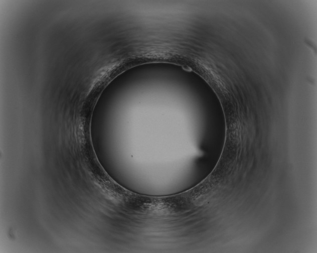 X0000096730688200802121315