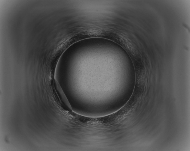 X0000096730689200802121315