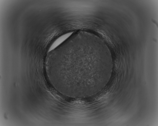 X0000096730691200802121315