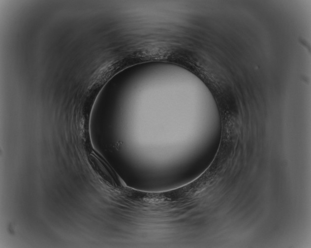 X0000096730693200802121315
