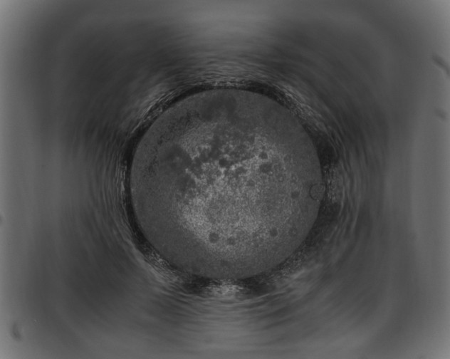 X0000096730695200802121315