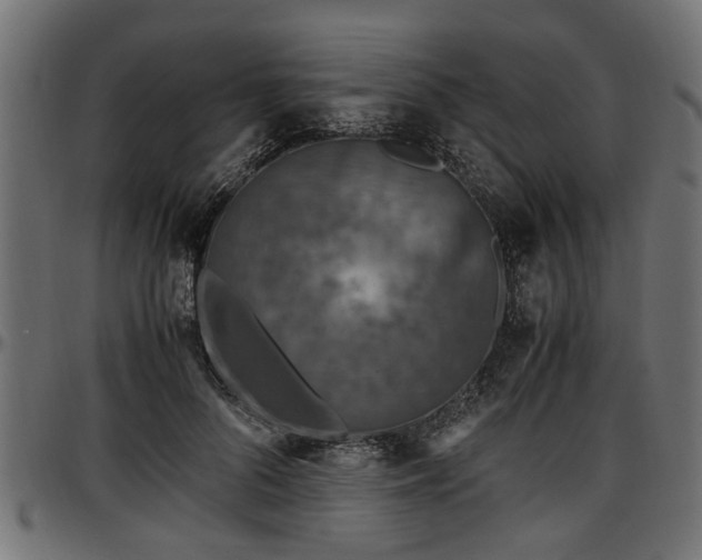 X0000096730696200802121315