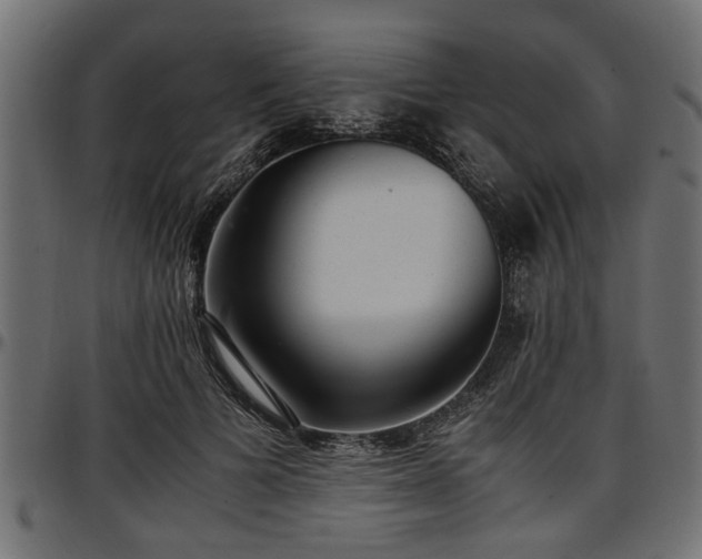 X0000096730697200802121315