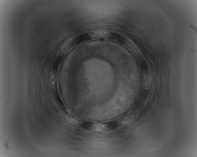 X0000096730701200802121315