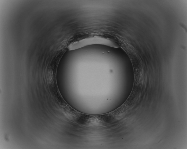X0000096730704200802121315