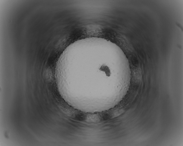 X0000096730705200802121315