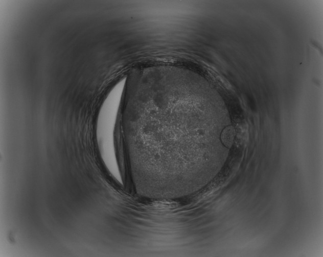 X0000096730707200802121315