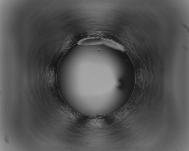 X0000096730708200802121315