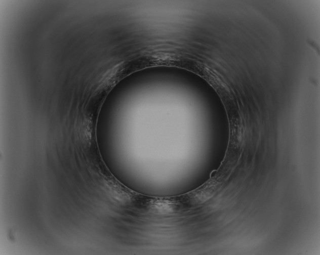 X0000096730710200802121315
