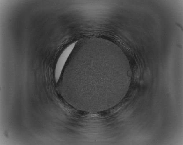 X0000096730711200802121315