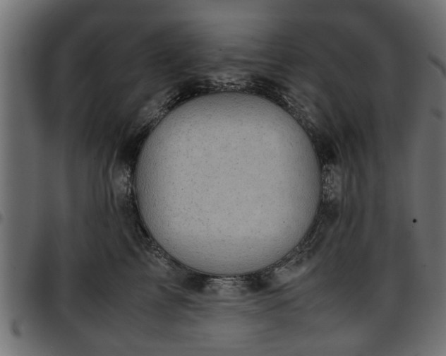 X0000096730713200802121315