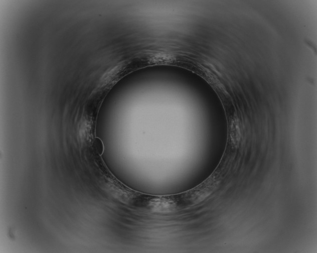 X0000096730714200802121315