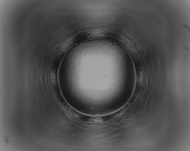 X0000096730715200802121315