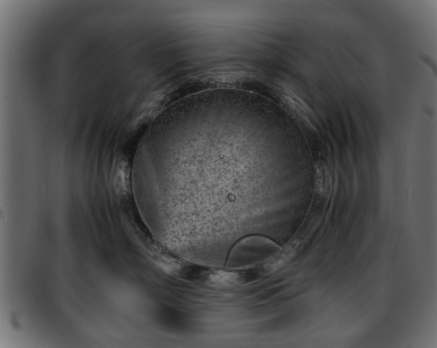 X0000096730718200802121315