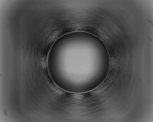 X0000096730719200802121315