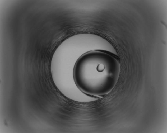 X0000096730720200802121315