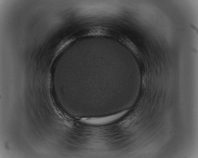 X0000096730724200802121314