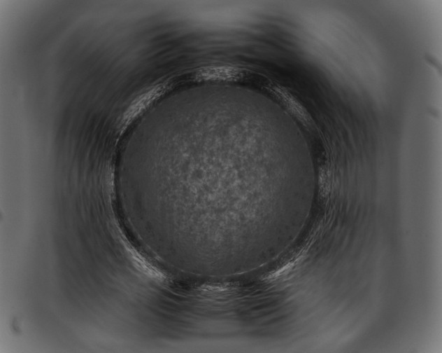 X0000096730725200802121314