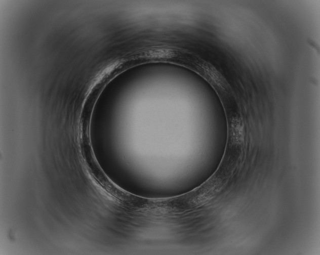 X0000096730726200802121314