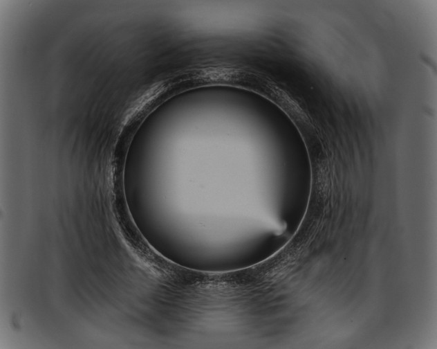 X0000096730730200802121314