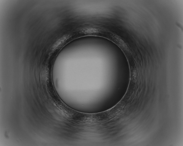 X0000096730732200802121314