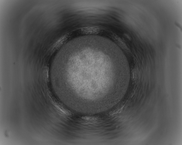 X0000096730733200802121314