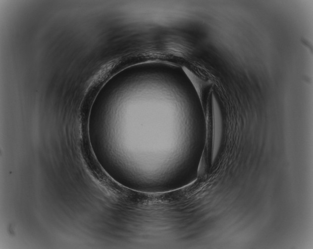 X0000096730734200802121314