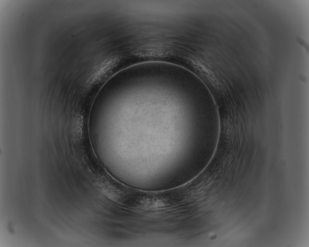 X0000096730735200802121314