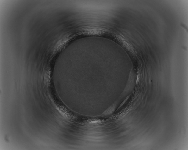X0000096730736200802121314