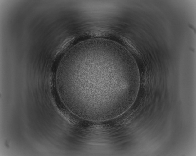 X0000096730738200802121314