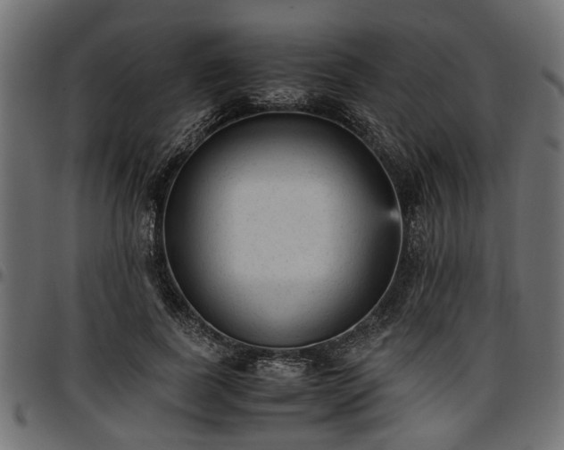 X0000096730739200802121314