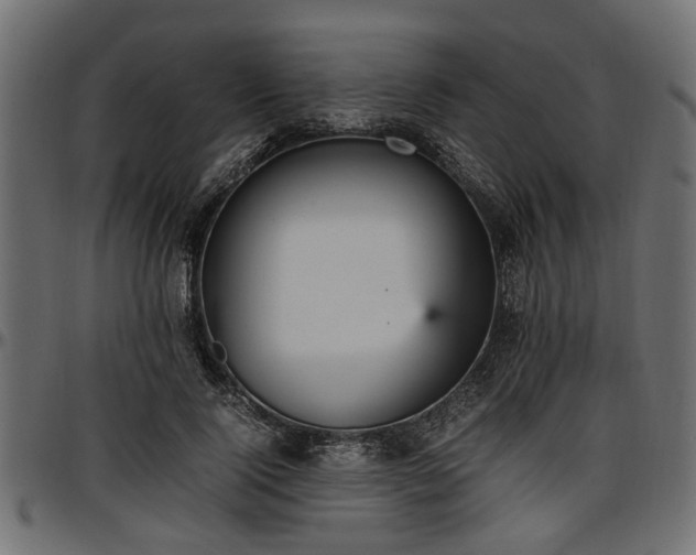 X0000096730740200802121314