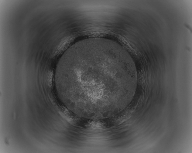 X0000096730742200802121314