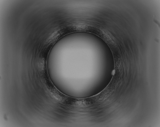 X0000096730744200802121314
