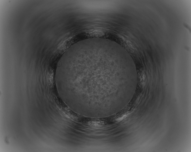 X0000096730745200802121314