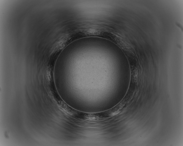 X0000096730746200802121314