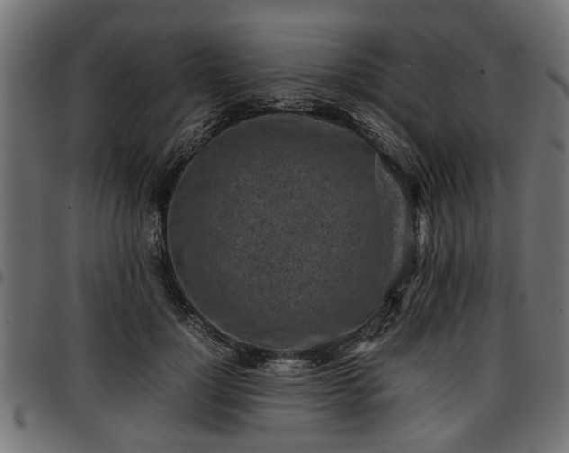 X0000096730748200802121314