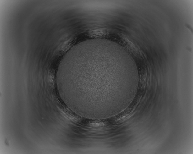 X0000096730749200802121314