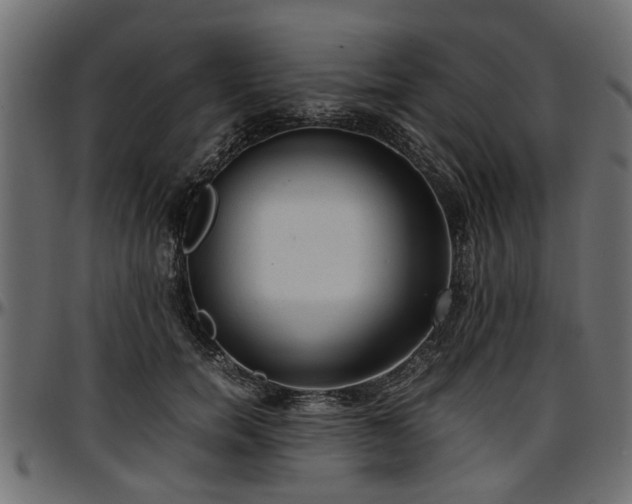 X0000096730750200802121314