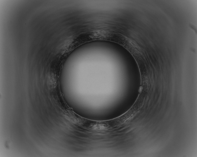 X0000096730751200802121314