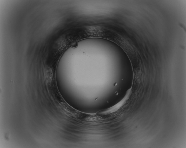 X0000096730752200802121314