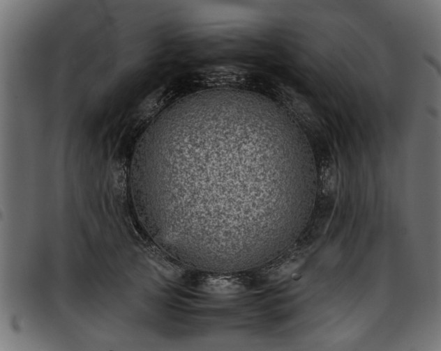 X0000096730753200802121314