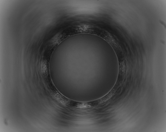 X0000096730754200802121314