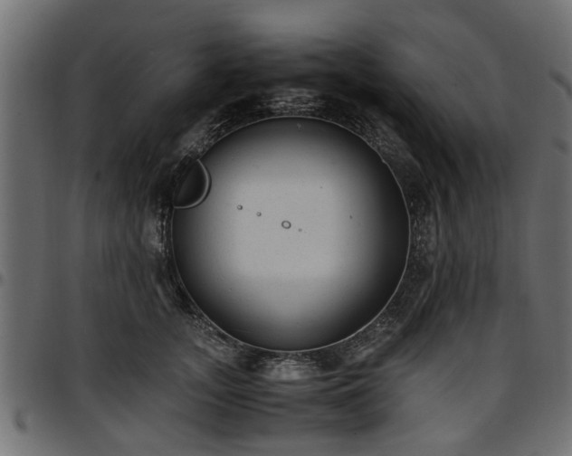 X0000096730755200802121314