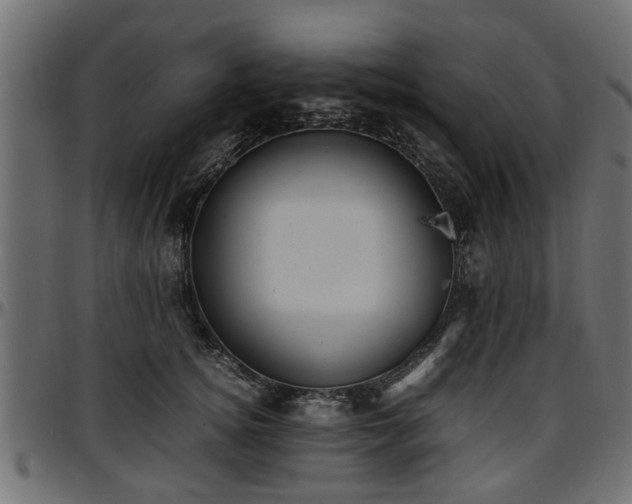 X0000096730756200802121314